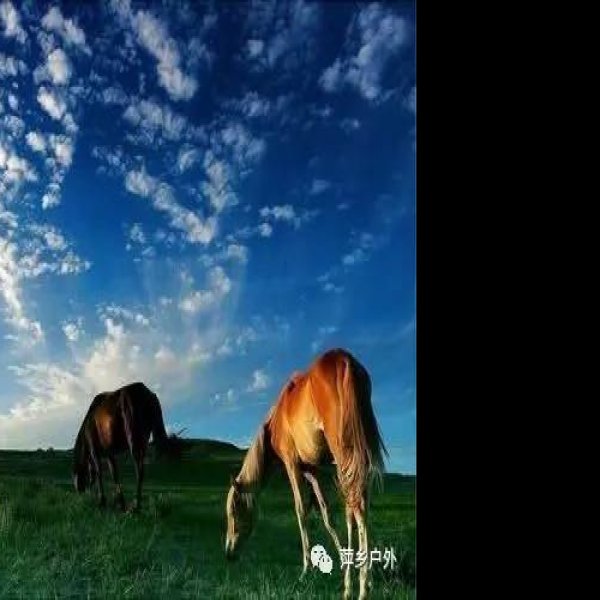 内蒙古乌兰布统草原 - 图片4