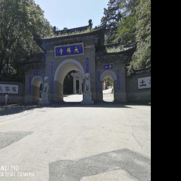 辽宁鞍山大佛寺 - 图片8