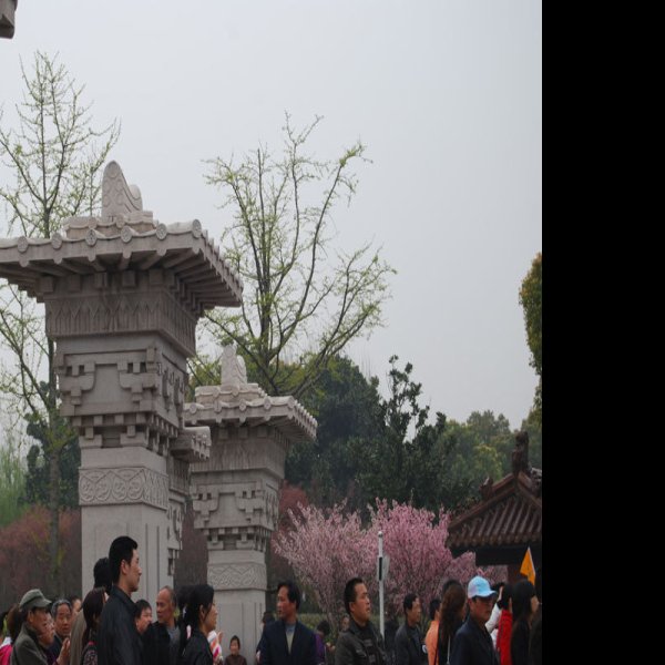 江苏无锡灵山胜境 - 图片7