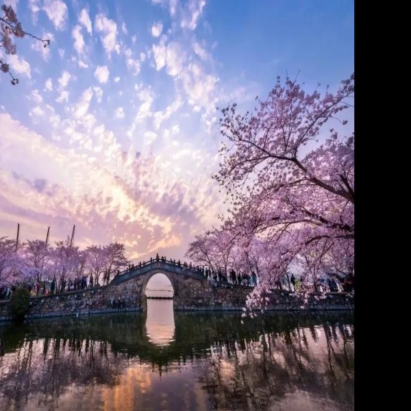 江苏无锡太湖鼋头渚 - 图片1
