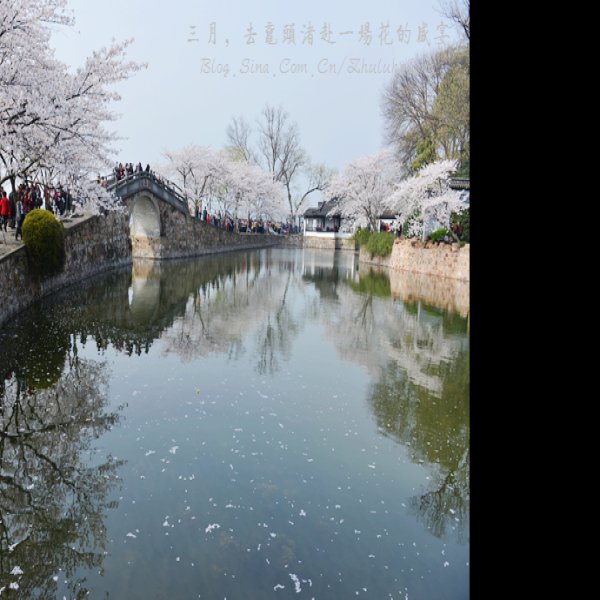 江苏无锡太湖鼋头渚 - 图片4