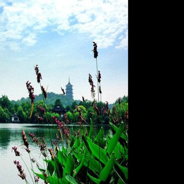 浙江杭州西湖 - 图片1