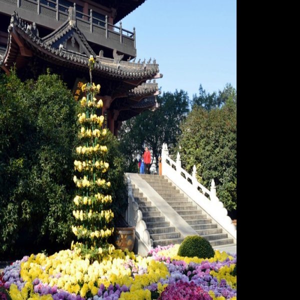 安徽合肥包公园 - 图片6