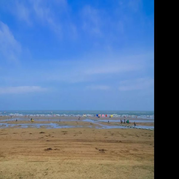 山东日照海滨国家森林公园 - 图片1