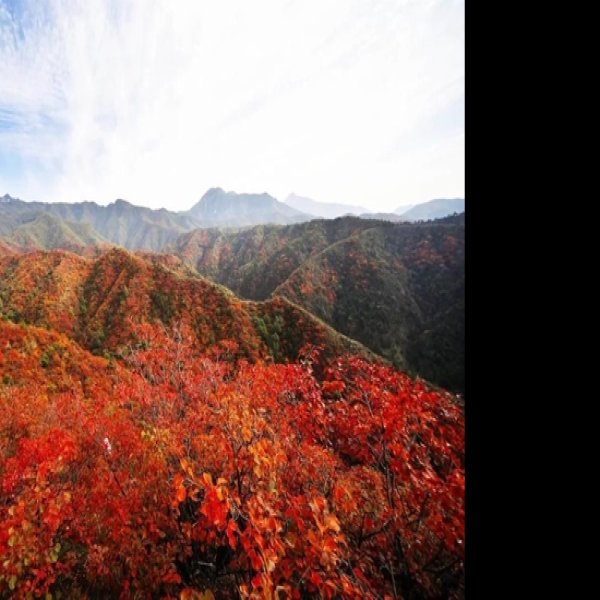 河南济源王屋山 - 图片8