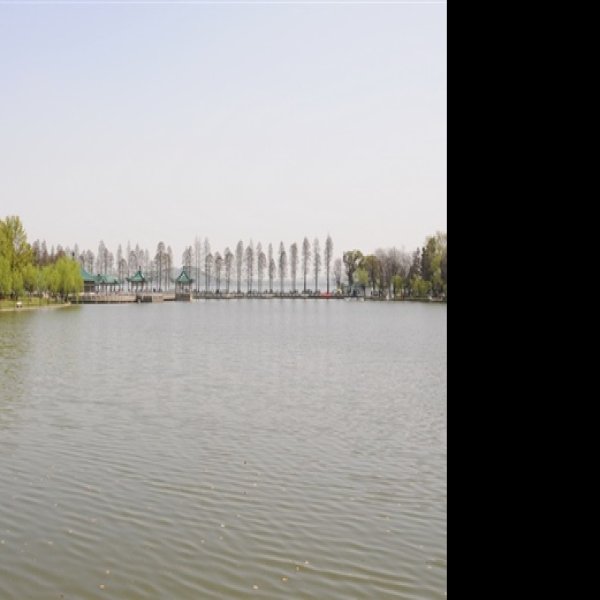湖北武汉东湖 - 图片5