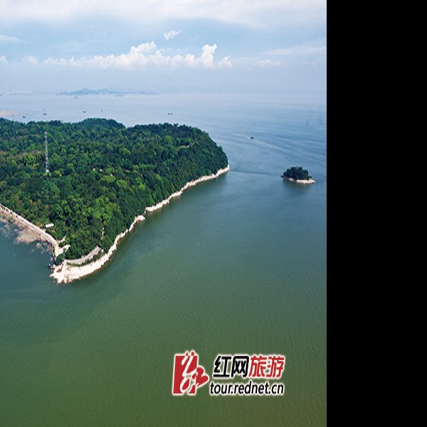 湖南岳阳君山岛 - 图片1