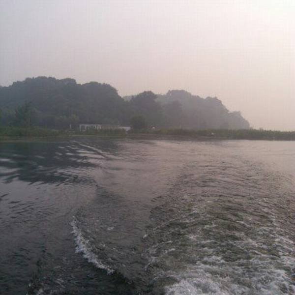 湖南岳阳君山岛 - 图片10