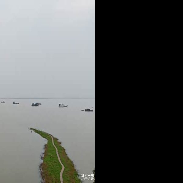 湖南岳阳君山岛 - 图片7