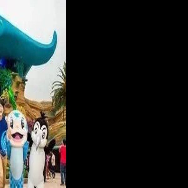 广东珠海长隆海洋王国 - 图片4