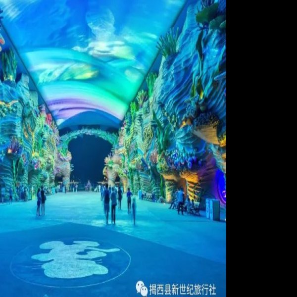 广东珠海长隆海洋王国 - 图片9