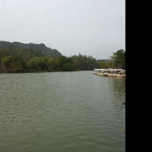 广东肇庆星湖风景名胜区 - 图片10
