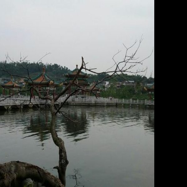 广东肇庆星湖风景名胜区 - 图片4