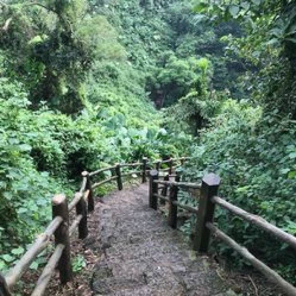 海南海口火山口地质公园 - 图片5
