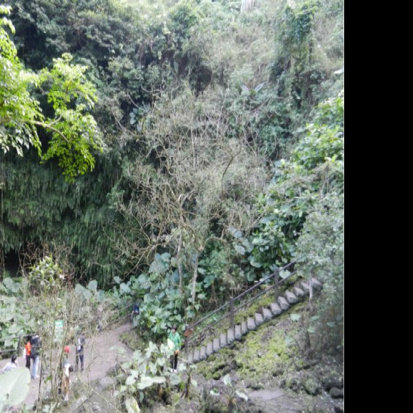 海南海口火山口地质公园 - 图片6