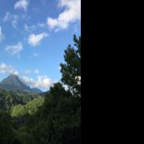 海南五指山国家级自然保护区 - 图片10