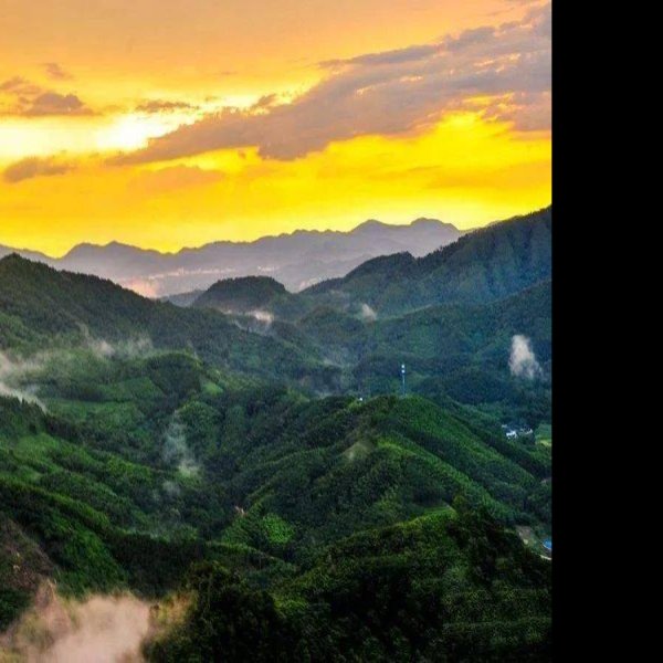 海南五指山国家级自然保护区 - 图片3