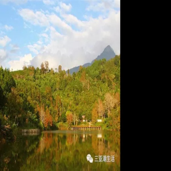 海南五指山国家级自然保护区 - 图片9