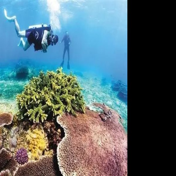 海南陵水分界洲岛 - 图片4