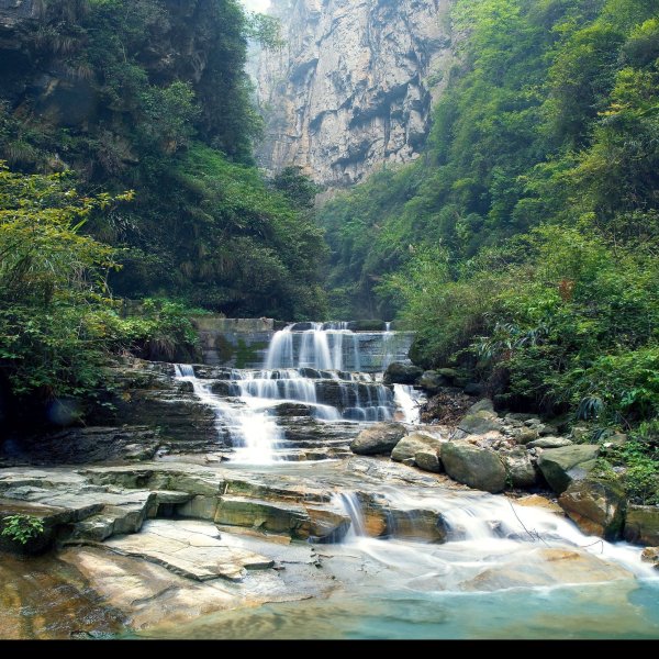 重庆黑山谷景区 - 图片1