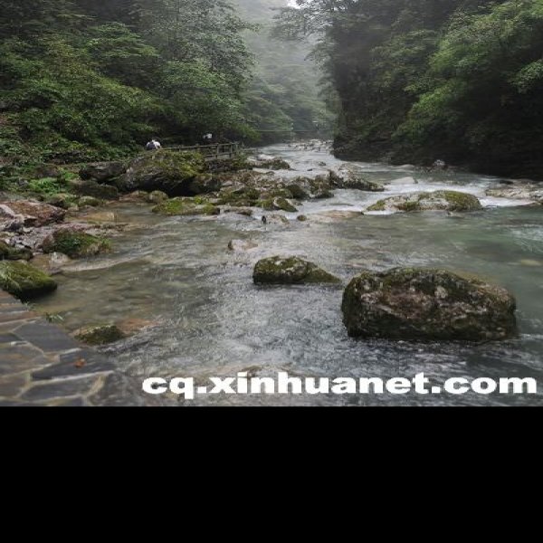 重庆黑山谷景区 - 图片10