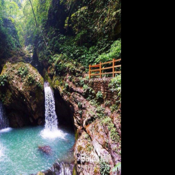 重庆黑山谷景区 - 图片3