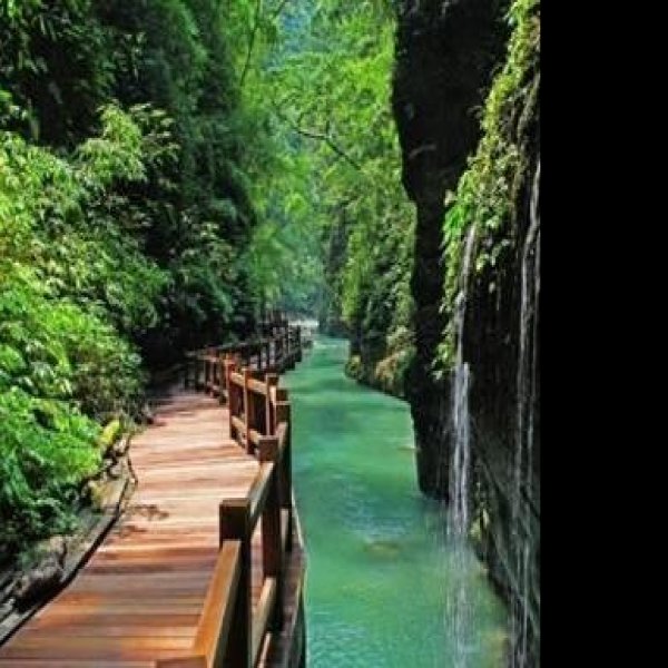 重庆黑山谷景区 - 图片6