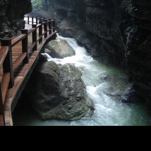 重庆黑山谷景区 - 图片7