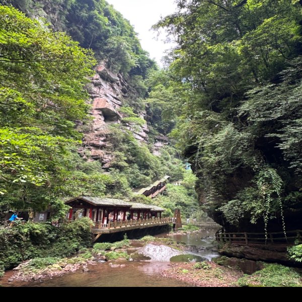 四川雅安碧峰峡 - 图片2