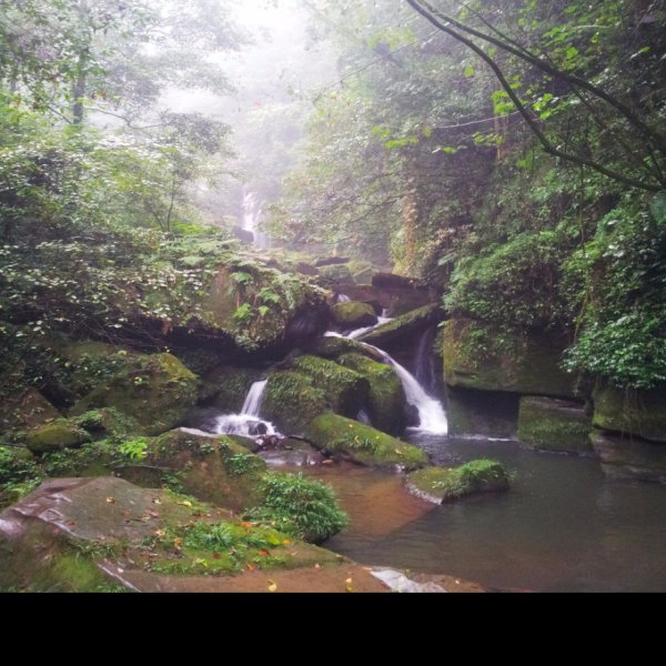 四川雅安碧峰峡 - 图片5