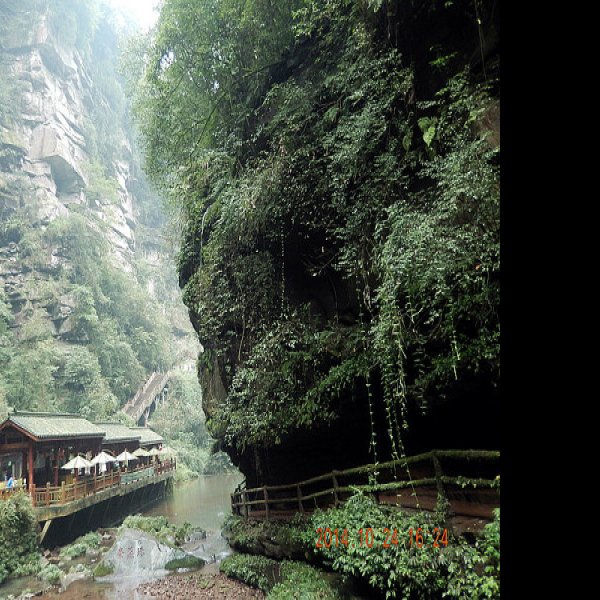 四川雅安碧峰峡 - 图片6
