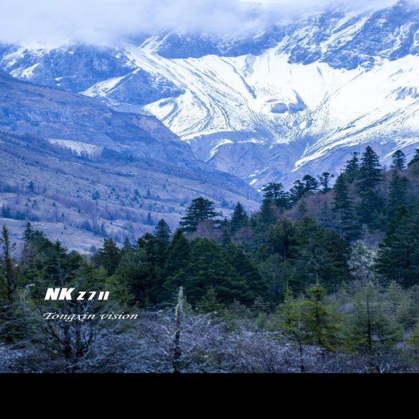 四川阿坝四姑娘山 - 图片3