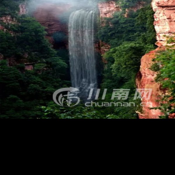 四川泸州黄荆老林 - 图片3
