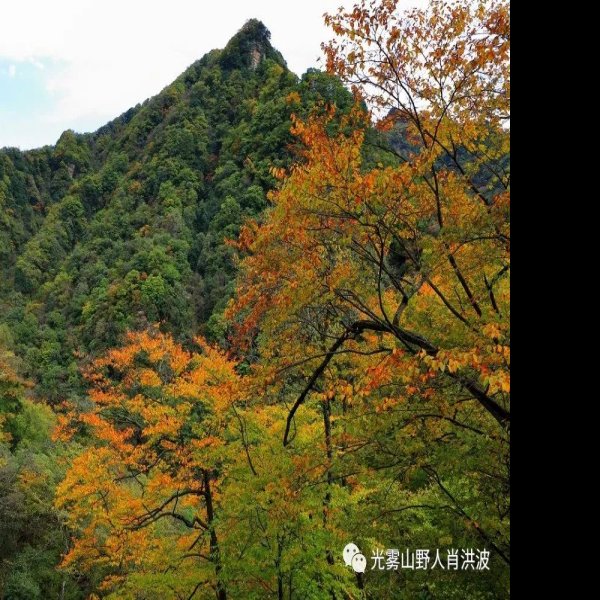 四川巴中光雾山 - 图片10