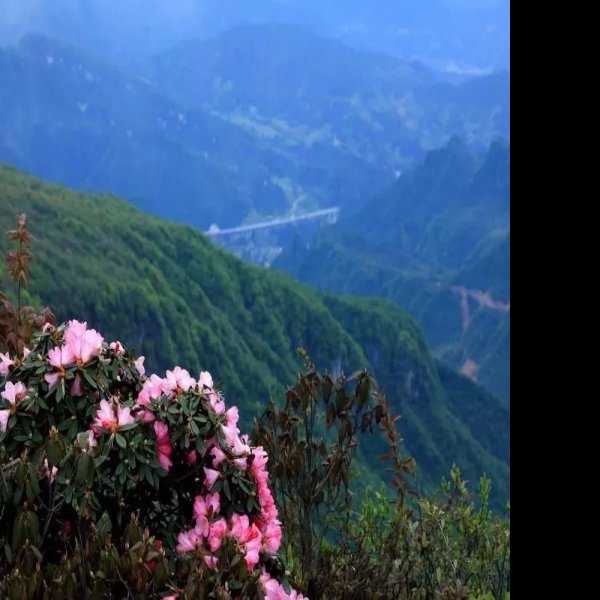 四川巴中光雾山 - 图片2