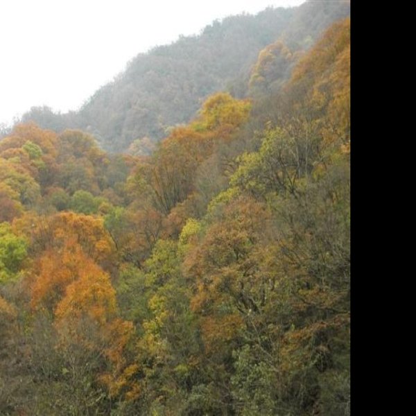 四川巴中光雾山 - 图片8