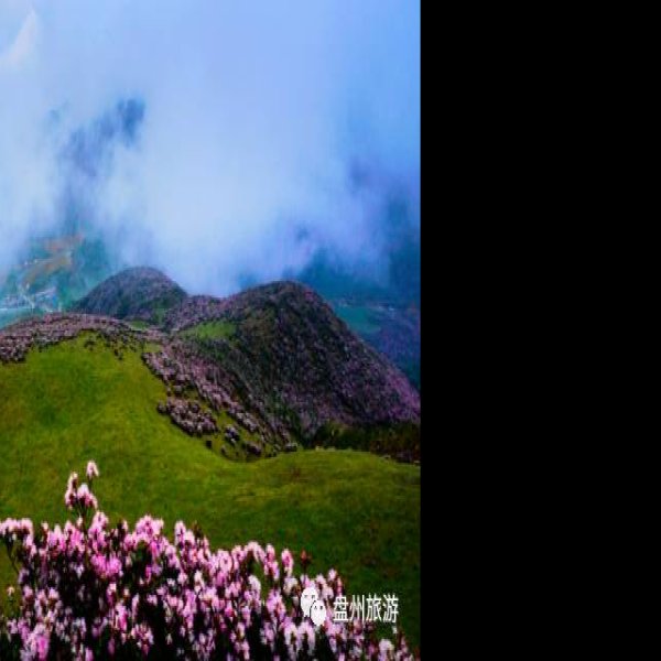 贵州六盘水乌蒙大草原 - 图片3