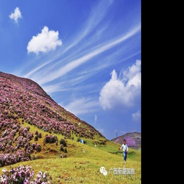 贵州六盘水乌蒙大草原 - 图片5