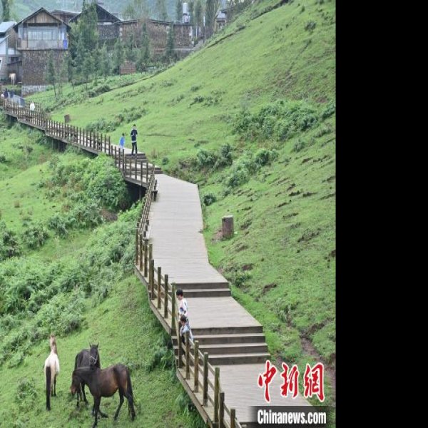 贵州六盘水乌蒙大草原 - 图片7
