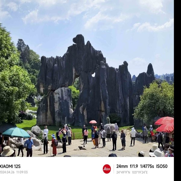 云南昆明石林 - 图片2