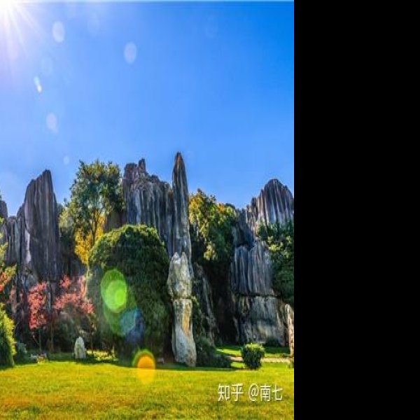 云南昆明石林 - 图片7