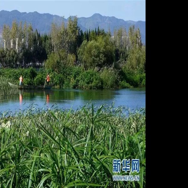 云南昆明滇池 - 图片8