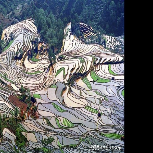 云南红河元阳哈尼梯田 - 图片1