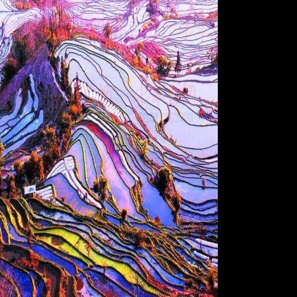 云南红河元阳哈尼梯田 - 图片2