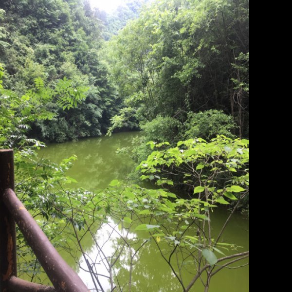 陕西商洛金丝峡 - 图片6
