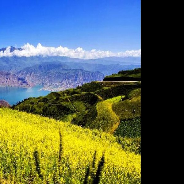 青海坎布拉国家森林公园 - 图片3
