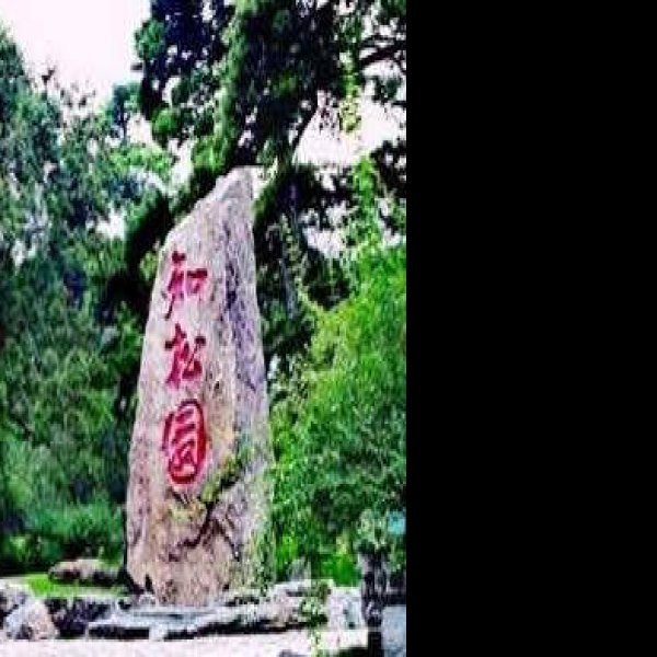 北京香山公园 - 图片10