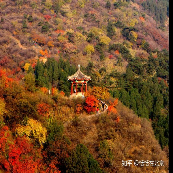 北京香山公园 - 图片2
