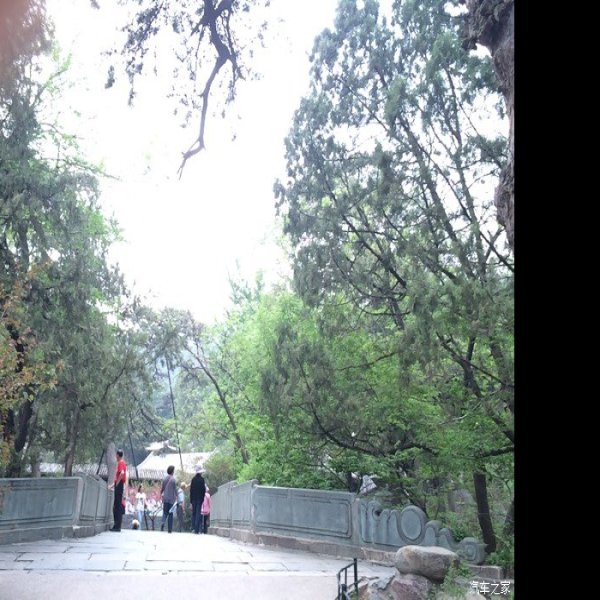 北京香山公园 - 图片3