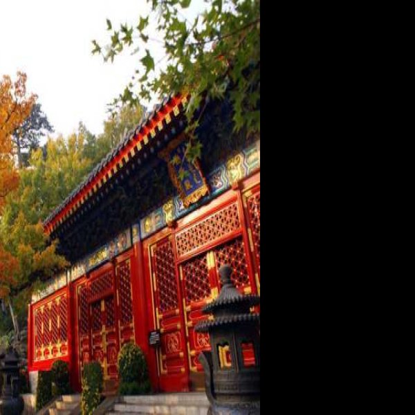 北京香山公园 - 图片5